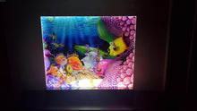 Load image into Gallery viewer, Light up acrylic display
