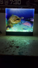 Load image into Gallery viewer, Light up acrylic display
