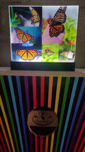 Load image into Gallery viewer, Light up acrylic display
