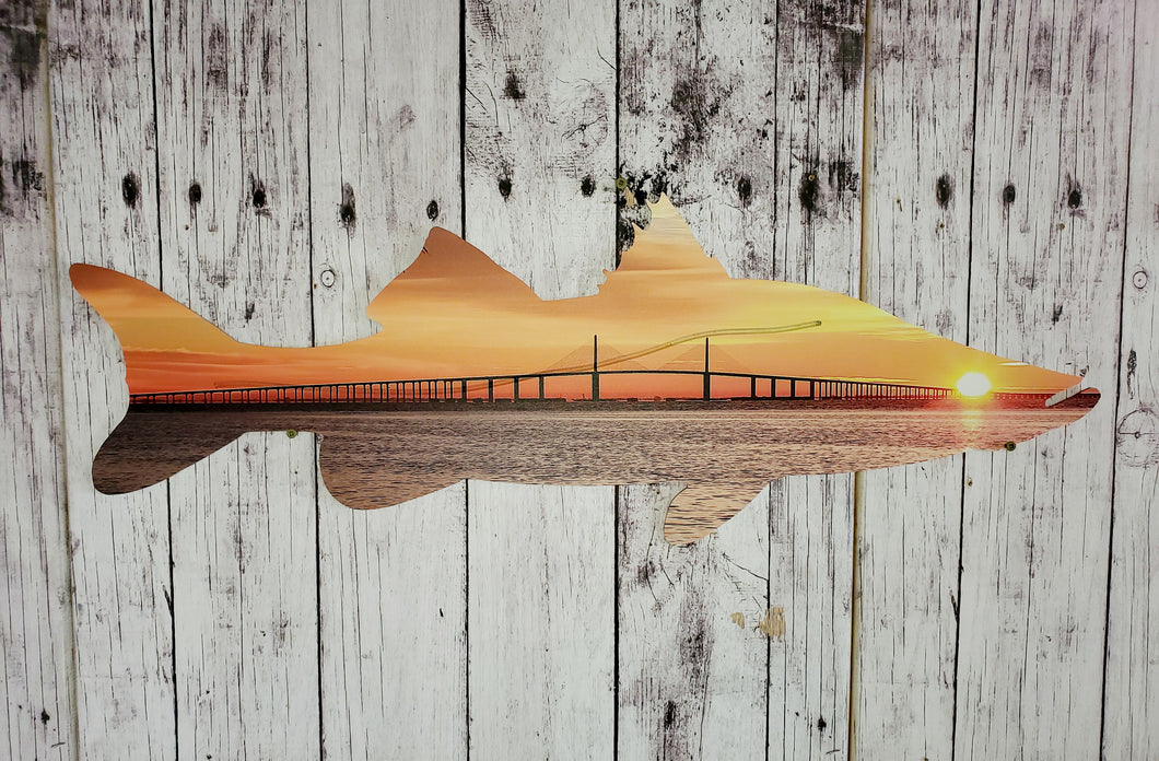 Skyway Redfish